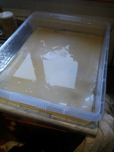 20151114_141223 copy