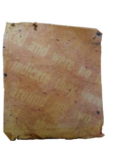 20151202_113719 copy 2