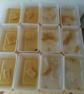 20160229_104732 copy