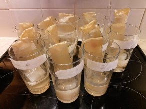 20160207_162749 copy