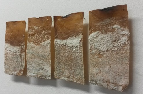 20160722_170512 copy