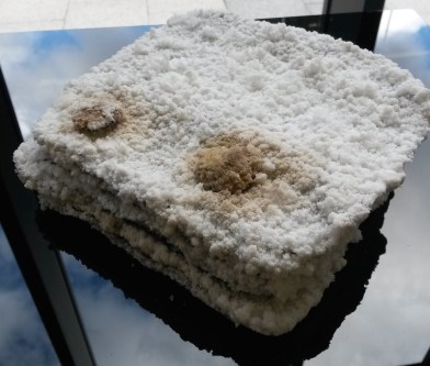 20160929_114338-copy