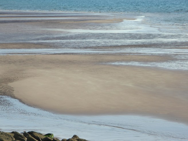 dscn5206-copy-copy-2