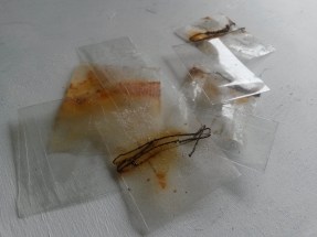 20190312_105218 copy