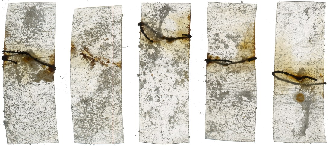 5x 1200 Postive049 copy 2